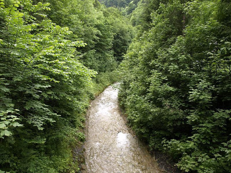 AUS04062009 (165).jpg